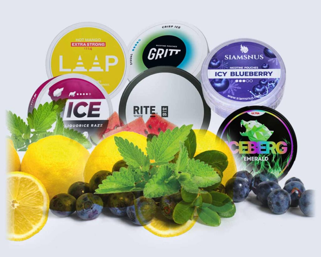 Choose Nicotine Pouches by Taste and Flavor Thaipouches